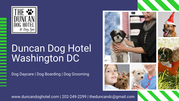 Top Dog Grooming & Health Care Center - The Duncan Dog Hotel & Day Spa