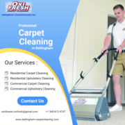 Bellingham's Best Carpet Cleaners: Expert Service for a Fresh and Clea