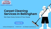 Professional Carpet Cleaning Services in Bellingham