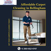 Affordable Carpet Cleaning in Bellingham - Transform Your Floors Today